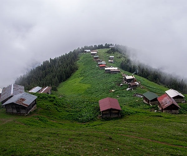 Pokut-Sal Yayla Turu