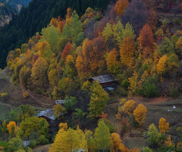 Karadeniz'de Sonbahar Turları