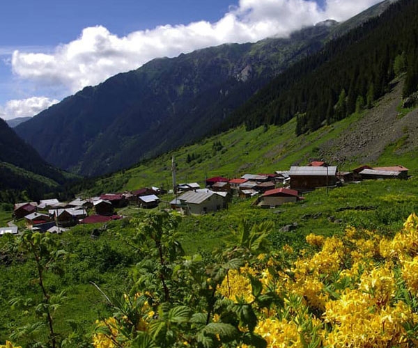 Kars, Ardahan, Şavşat , Macahel, Rize