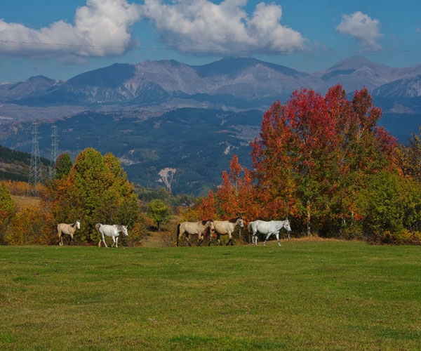 Karadeniz'de Sonbahar